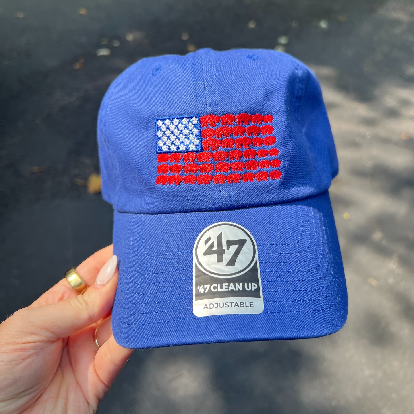Buffalo-America Flag Hat, American Flag dad cap